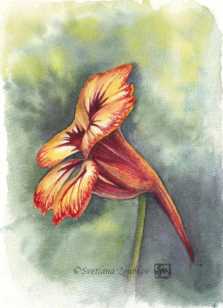 Nasturtium Flower Watercolor